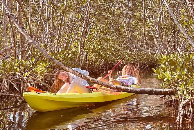 2 Hour Key West Kayak Rental  Discover Mangroves & Wildlife! - The Value and Practical Considerations
