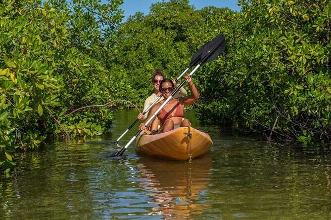 2 Hour Mangrove Kayak and Snorkel Tour - Practical Tips for Travelers
