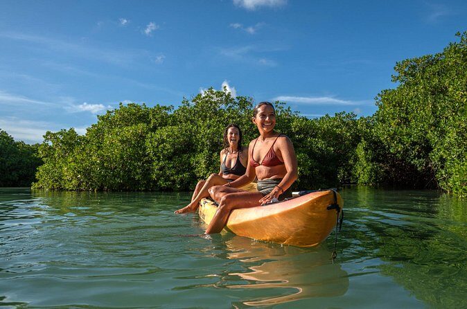 2 Hour Mangrove Kayak and Snorkel Tour - FAQs