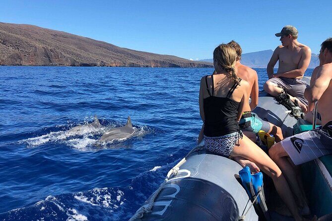 2 Hour Maui Dolphin Watch Sightsee Raft Tour (Semi-Private) - Why This Tour Offers Great Value