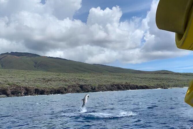 2 Hour Maui Dolphin Watch Sightsee Raft Tour (Semi-Private) - Who Will Love This Tour?