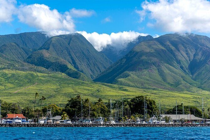 2 Hour Maui Dolphin Watch Sightsee Raft Tour (Semi-Private) - FAQ