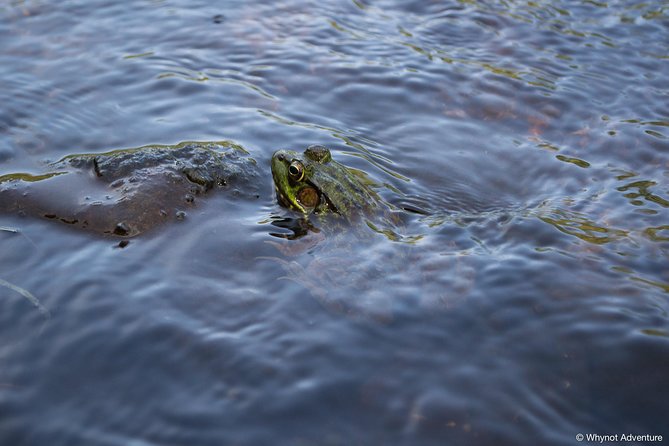 2 Hour Mersey River Quickie Adventure - Participation Guidelines and Requirements