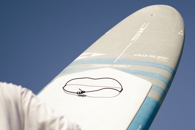 2 Hour Paddle Board Rental - The Experience in Detail