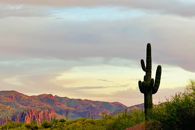 2 Hour Photography Tour of Phoenix Desert Botanical Gardens - Participant Experience