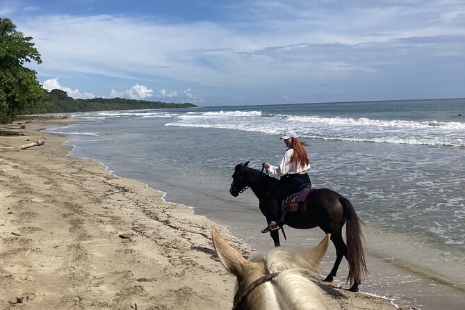 2 Hour Private Beach Horse Back Riding in Puerto Viejo - Customer Reviews