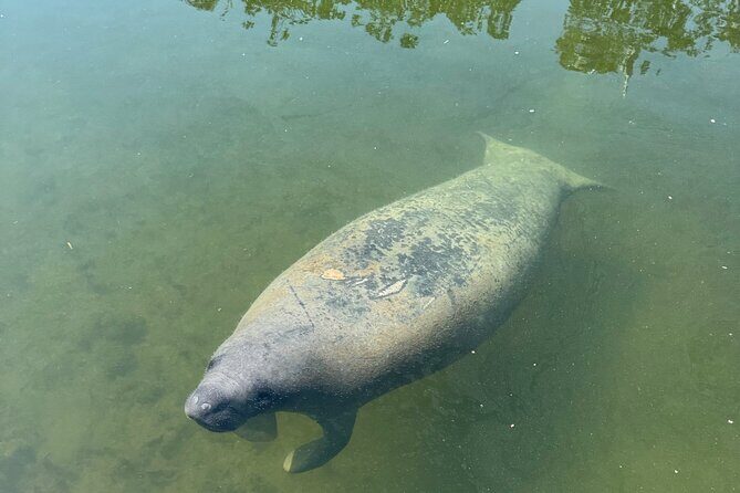 2 Hour Private Day Charter In Islamorada - Practical Details and Value