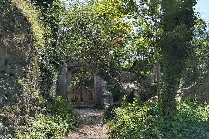 2-Hour Private Hiking Tour Helenental Castles Hike From Vienna - Health and Safety Considerations