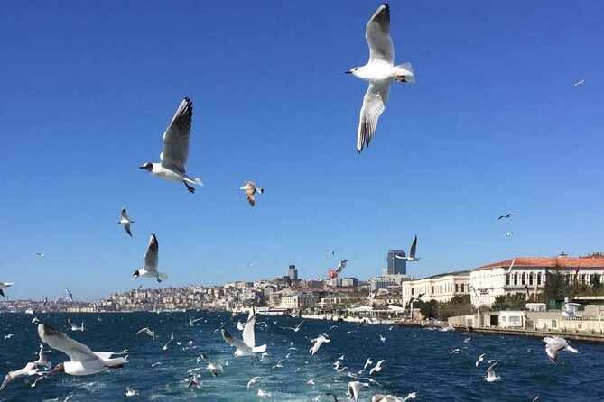 2-Hour Private Luxury Yacht Cruise on Bosphorus With Transfers - Accessibility and Participation