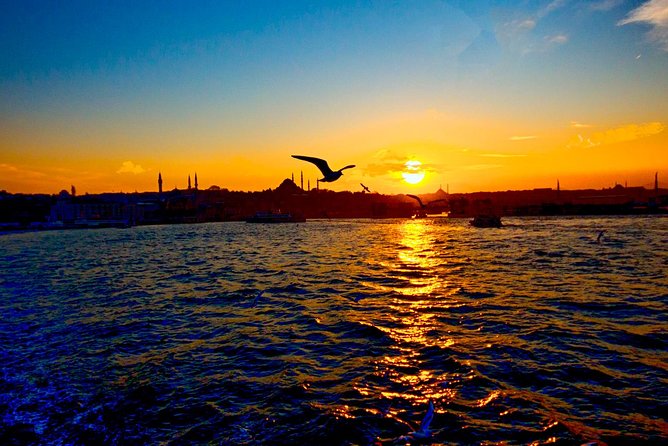 2-Hour Private Luxury Yacht Cruise on Bosphorus With Transfers - Panoramic Views and Sights
