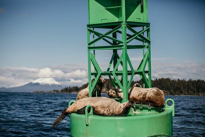 2 Hour Private Marine Wildlife Tour - Discover Sitka’s Marine Wonders with a Private 2-Hour Wildlife Tour