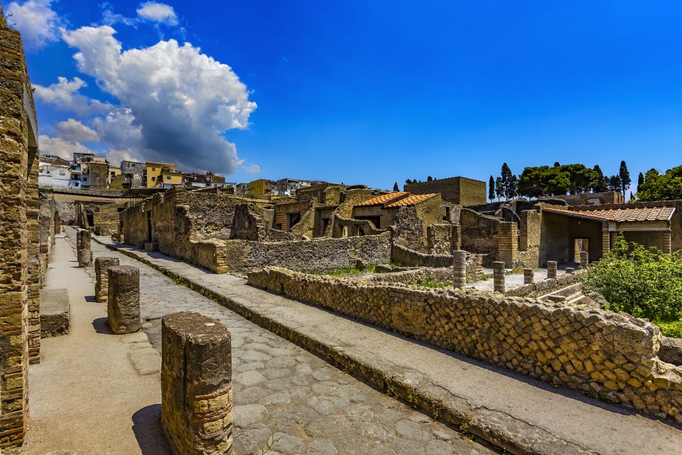 2-Hour Private Tour of the Ruins of Herculaneum - Key Points