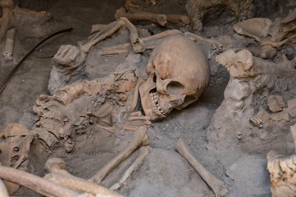 2-Hour Private Tour of the Ruins of Herculaneum - Council Hall of the Augustali
