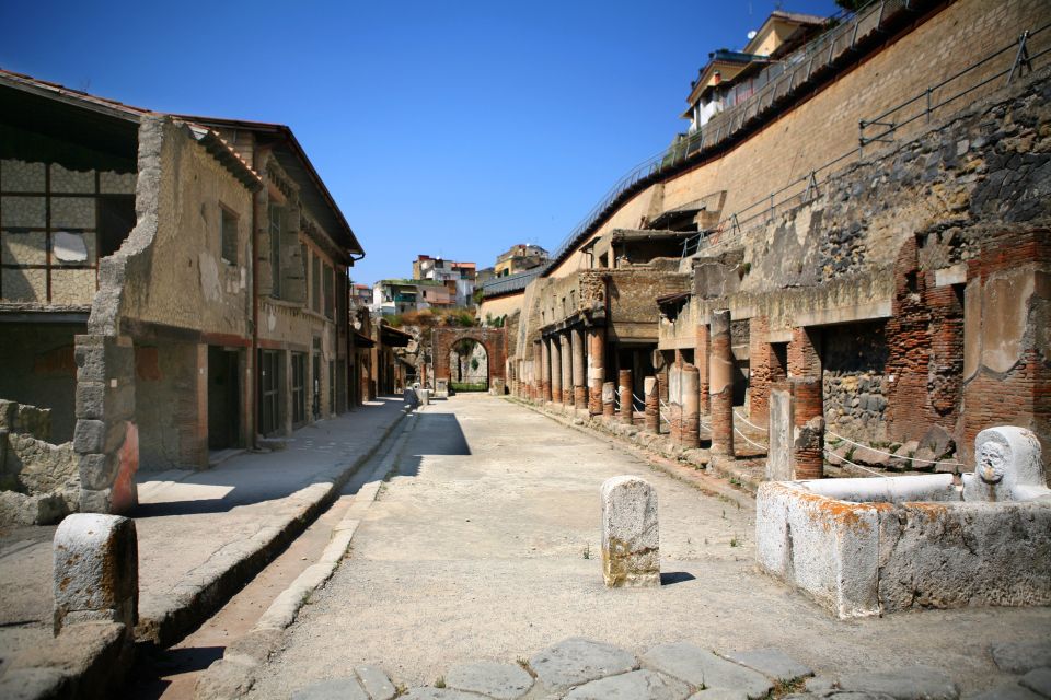 2-Hour Private Tour of the Ruins of Herculaneum - Villa Dei Cervi and Luxuries