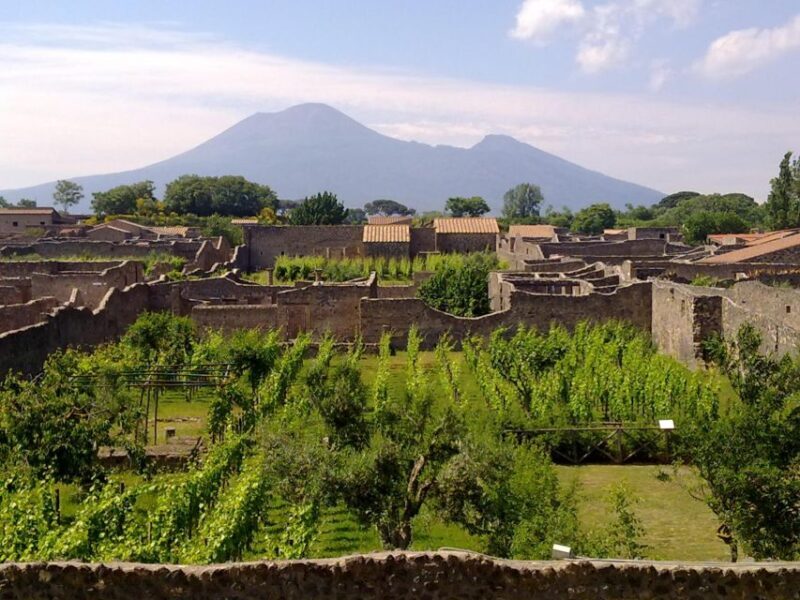 2-Hour Private Walking Tour of Pompeii - FAQ