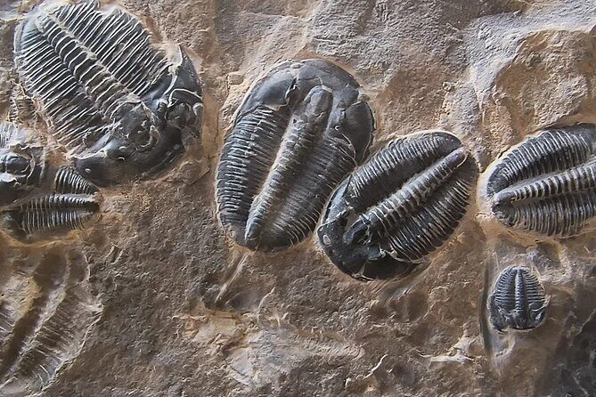 2 hour Quarry Access - Key Points