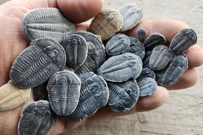 2 hour Quarry Access - The Practical Details