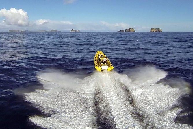 2 hour Round Trip in Vestmannaeyjar on a RIB Boat - Discovering Vestmannaeyjar by RIB Boat: An Authentic Icelandic Coastal Adventure