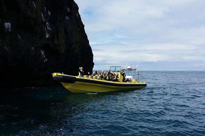2 hour Round Trip in Vestmannaeyjar on a RIB Boat - Wildlife and Scenic Highlights