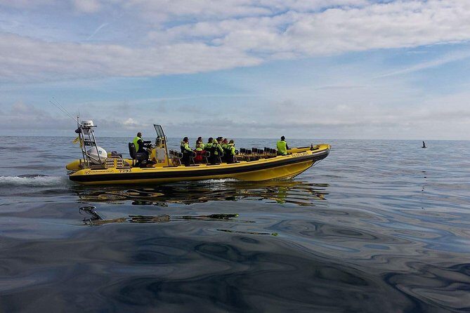 2 hour Round Trip in Vestmannaeyjar on a RIB Boat - Authentic Experiences in a Nutshell