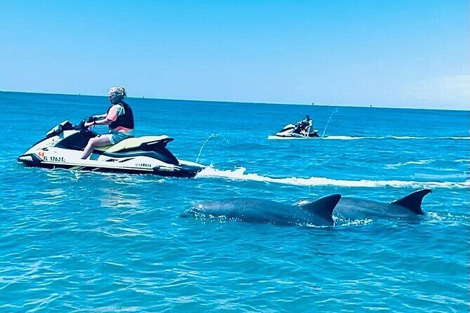 2 Hour Shell Island Jet Ski Dolphin Tour - Key Points
