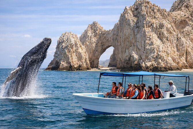 2-Hour Shore Excursion | Arch, Lovers Beach & Whale Encounters - Introducing the 2-Hour Shore Excursion in Cabo San Lucas