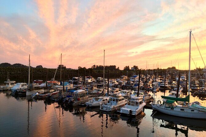 2 Hour Sitka Private Charter Sunset Cruise - An In-Depth Look at the Experience