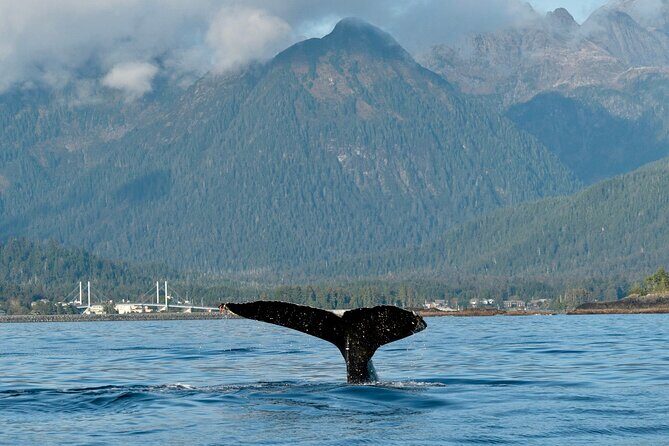 2 Hour Sitka Private Charter Sunset Cruise - FAQ