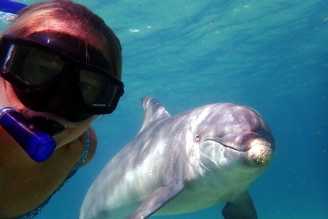 2 Hour Snorkeling and Dolphin Tour - Key Points