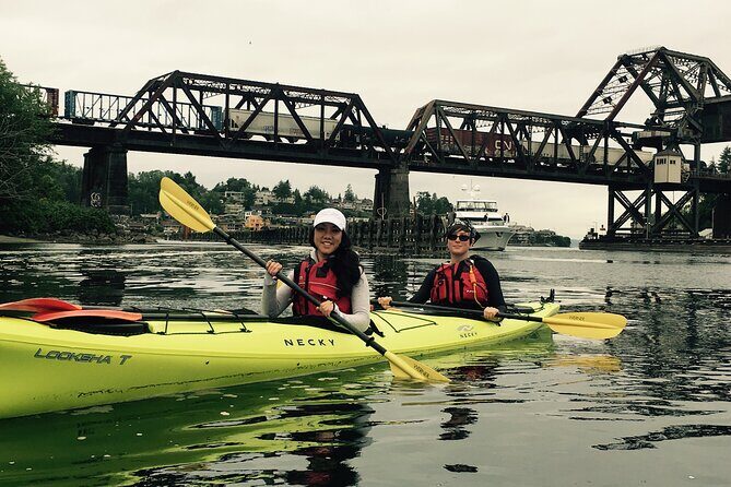 2 Hour Sound Tour - Exploring Puget Sound by Kayak: An Honest Look at the 2-Hour Sound Tour