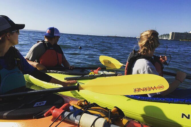 2 Hour Sound Tour - The Experience: What to Expect on the Puget Sound Kayak Tour