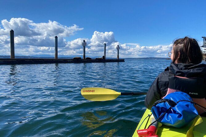 2 Hour Sound Tour - Who Will Love This Tour?