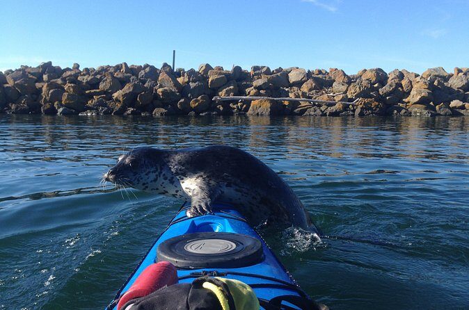 2 Hour Sound Tour - Final Thought