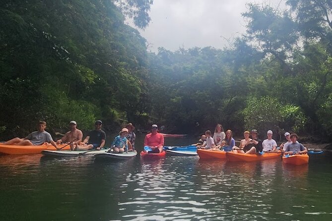 2 Hour Tandem Kayak Rental at Our Private Launch Area in Haleiwa - Exploring the Anahulu River Near Oahus North Shore