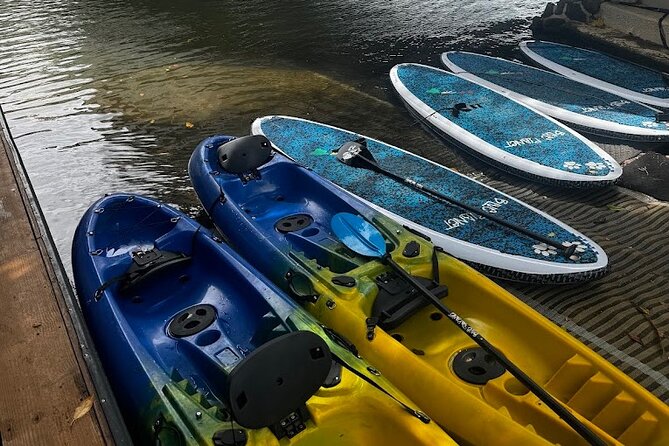 2 Hour Tandem Kayak Rental at Our Private Launch Area in Haleiwa - Rental Details and Amenities