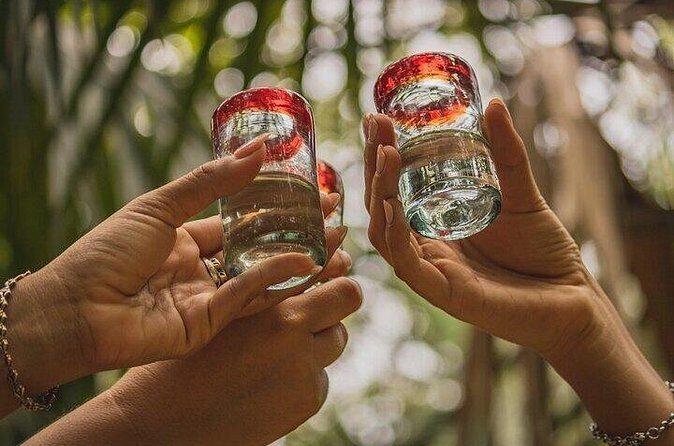 2 Hour Tequila Tasting Diego Riviera - Who Will Love This Experience?