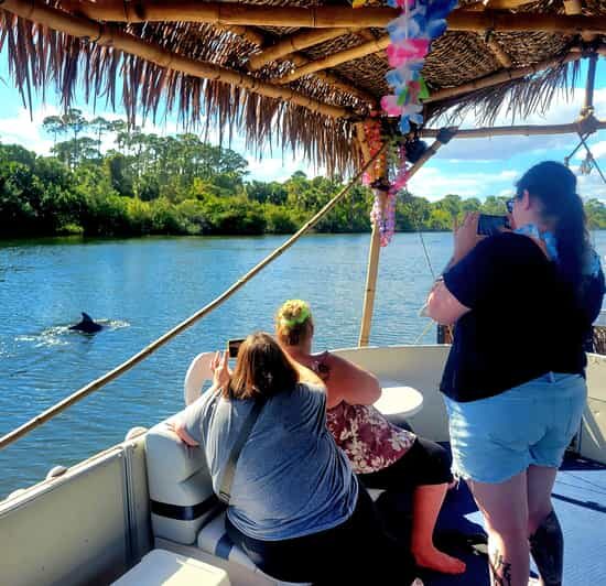 2 Hour Tiki Dolphin Sightseeing Tour in Cocoa Beach - What to Expect on the Tour
