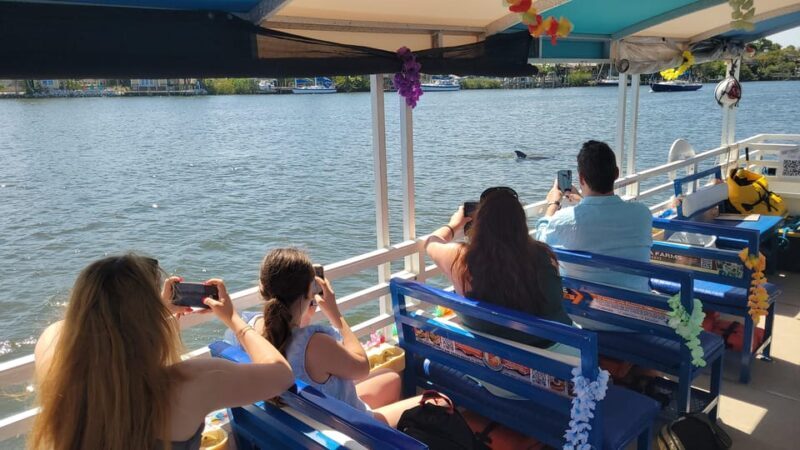 2 Hour Tiki Dolphin Sightseeing Tour in Cocoa Beach - FAQ