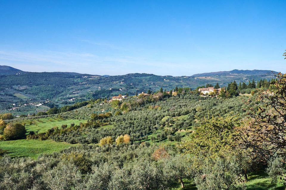 2-hour Vintage Fiat 500 tour with Olive Oil Tasting at Farm - Who Should Consider This Tour?