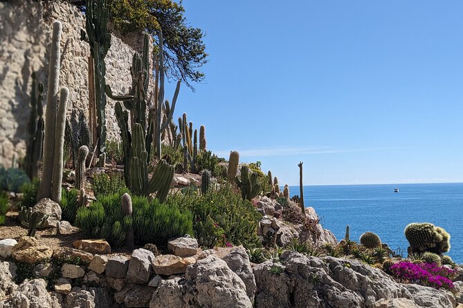 2 Hour Walking Tour in the Old Town of Antibes - Traveler Reviews and Feedback