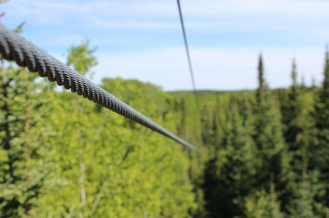 2 Hour Waskesiu Zipline Afternoon Adventure - Final Recommendation
