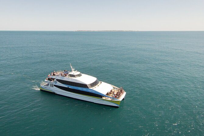 2 Hour Whale-Watching Cruise from Hillarys Boat Harbour - Key Points