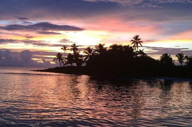 2 Hour Wildlife Adventure - Introduction: A Short but Sweet Wildlife Encounter