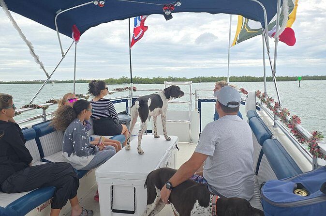 2 Hour Wildlife Adventure - Value and Pricing: Is It Worth It?