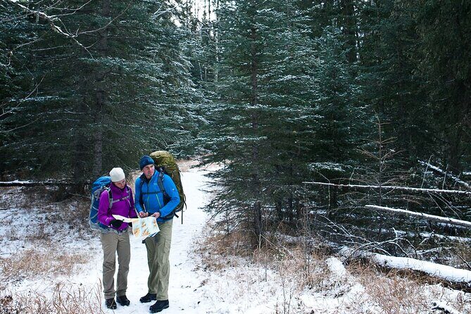 2 Hour Winter Wilderness Walk with Wildlife Tracking - The Sum Up