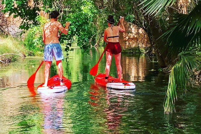 2 Hours and a Half Sup Tour in the Ciane Reserve in Syracuse - Key Points
