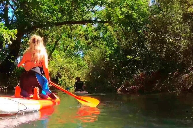 2 Hours and a Half Sup Tour in the Ciane Reserve in Syracuse - Accessibility and Recommendations