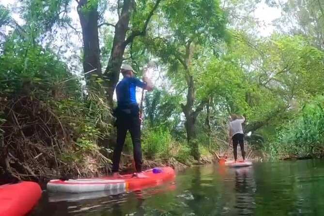 2 Hours and a Half Sup Tour in the Ciane Reserve in Syracuse - Paddling Through the Waterways