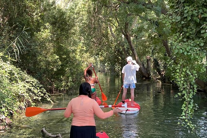 2 Hours and a Half Sup Tour in the Ciane Reserve in Syracuse - Scenic Vistas and Wildlife