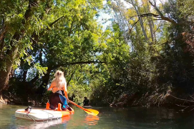 2 Hours and a Half Sup Tour in the Ciane Reserve in Syracuse - Guest Reviews and Ratings
